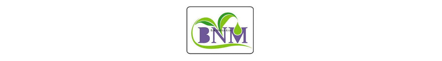 B.N. Mallick & co